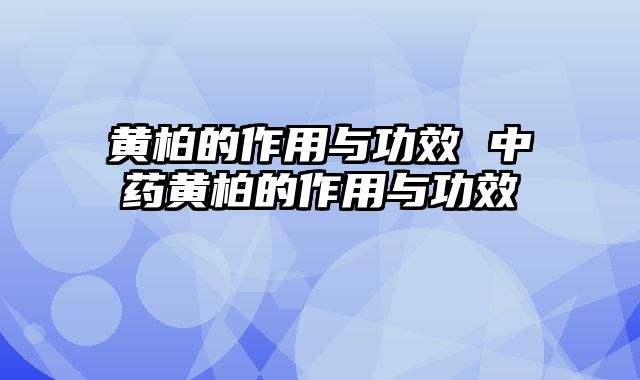 黄柏的作用与功效 中药黄柏的作用与功效