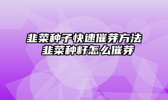 韭菜种子快速催芽方法 韭菜种籽怎么催芽