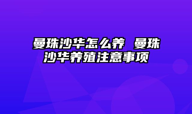 曼珠沙华怎么养 曼珠沙华养殖注意事项