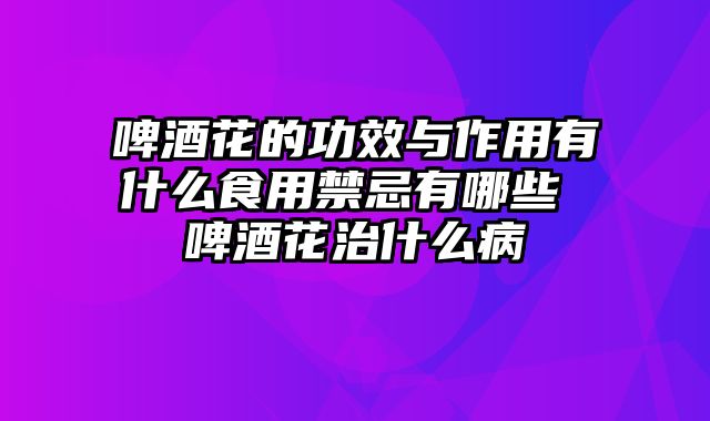 啤酒花的功效与作用有什么食用禁忌有哪些 啤酒花治什么病