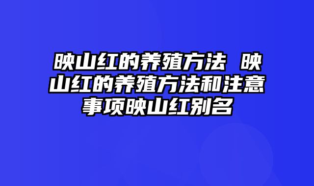 映山红的养殖方法 映山红的养殖方法和注意事项映山红别名