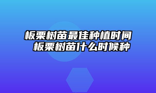 板栗树苗最佳种植时间 板栗树苗什么时候种