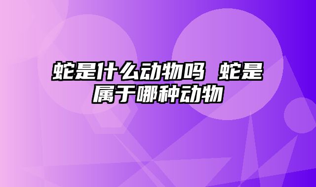 蛇是什么动物吗 蛇是属于哪种动物