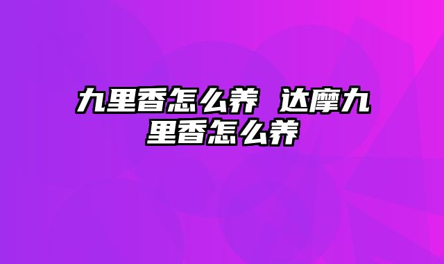 九里香怎么养 达摩九里香怎么养