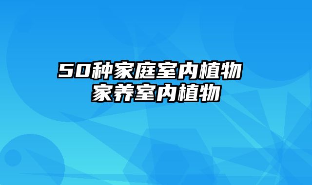 50种家庭室内植物 家养室内植物