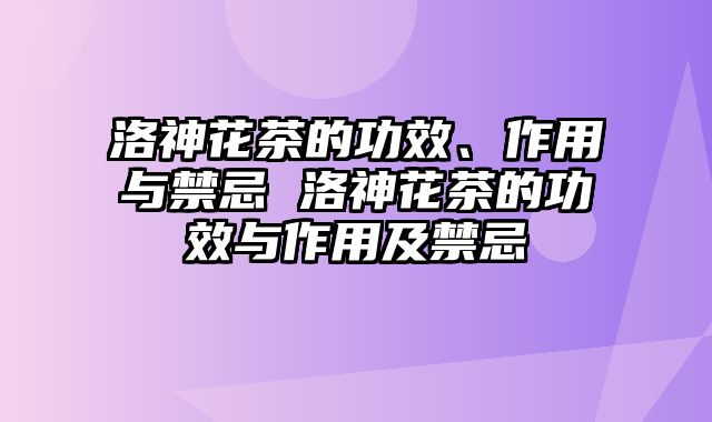洛神花茶的功效、作用与禁忌 洛神花茶的功效与作用及禁忌