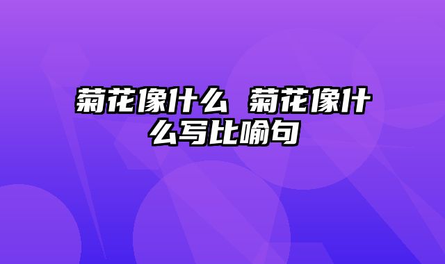 菊花像什么 菊花像什么写比喻句