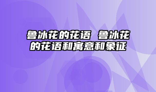 鲁冰花的花语 鲁冰花的花语和寓意和象征