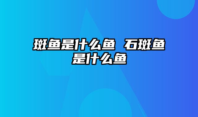 斑鱼是什么鱼 石斑鱼是什么鱼
