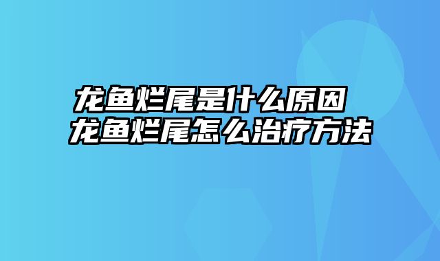 龙鱼烂尾是什么原因 龙鱼烂尾怎么治疗方法