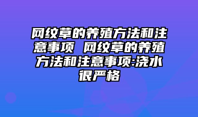 网纹草的养殖方法和注意事项 网纹草的养殖方法和注意事项:浇水很严格