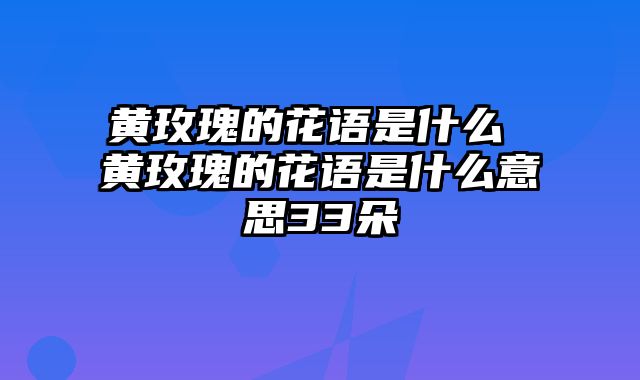 黄玫瑰的花语是什么 黄玫瑰的花语是什么意思33朵