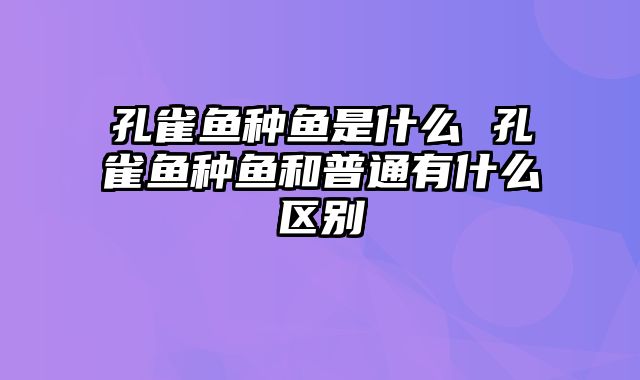 孔雀鱼种鱼是什么 孔雀鱼种鱼和普通有什么区别
