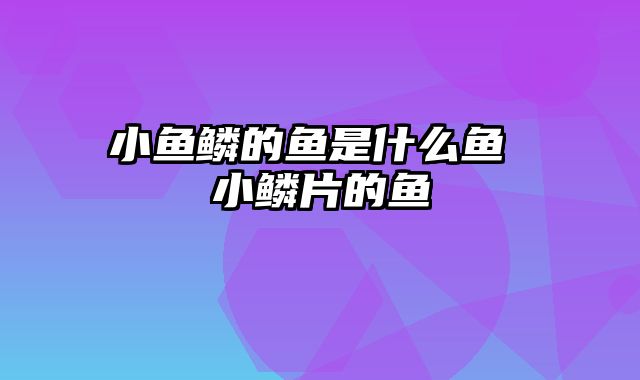 小鱼鳞的鱼是什么鱼 小鳞片的鱼