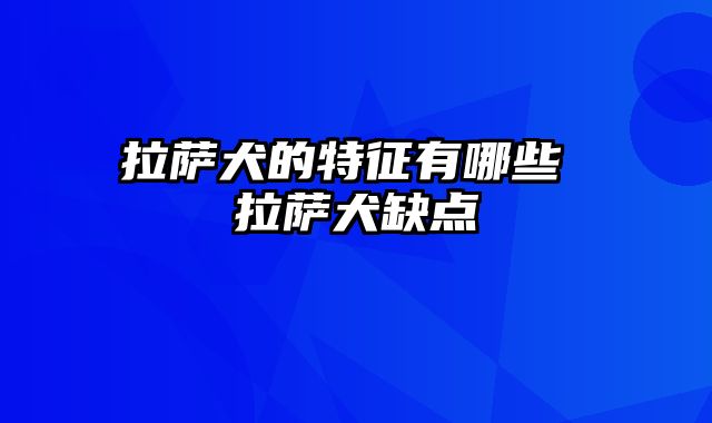 拉萨犬的特征有哪些 拉萨犬缺点