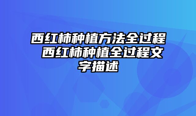 西红柿种植方法全过程 西红柿种植全过程文字描述