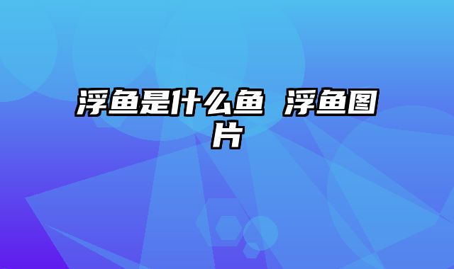浮鱼是什么鱼 浮鱼图片