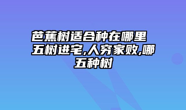 芭蕉树适合种在哪里 五树进宅,人穷家败,哪五种树
