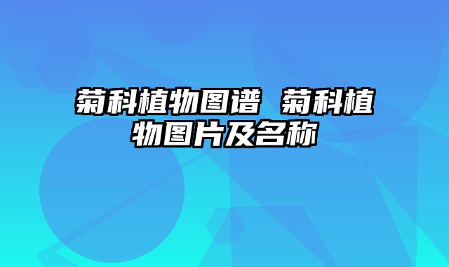 菊科植物图谱 菊科植物图片及名称