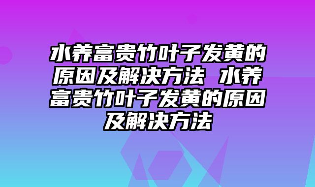 水养富贵竹叶子发黄的原因及解决方法 水养富贵竹叶子发黄的原因及解决方法