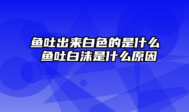鱼吐出来白色的是什么 鱼吐白沫是什么原因