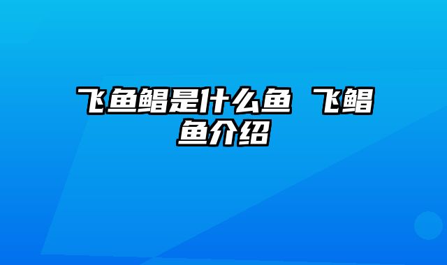 飞鱼鲳是什么鱼 飞鲳鱼介绍