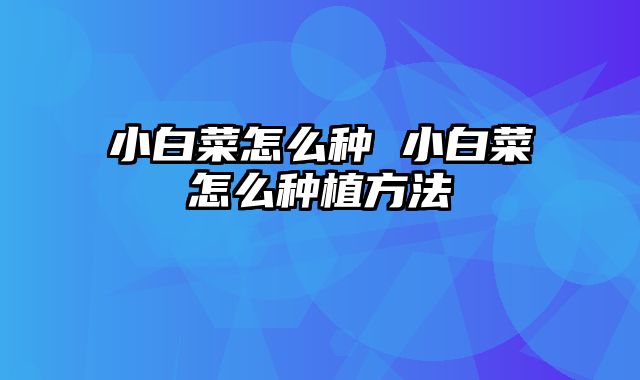 小白菜怎么种 小白菜怎么种植方法