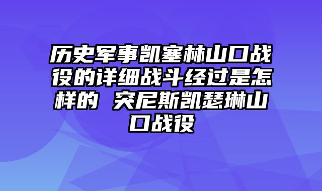 历史军事凯塞林山口战役的详细战斗经过是怎样的 突尼斯凯瑟琳山口战役