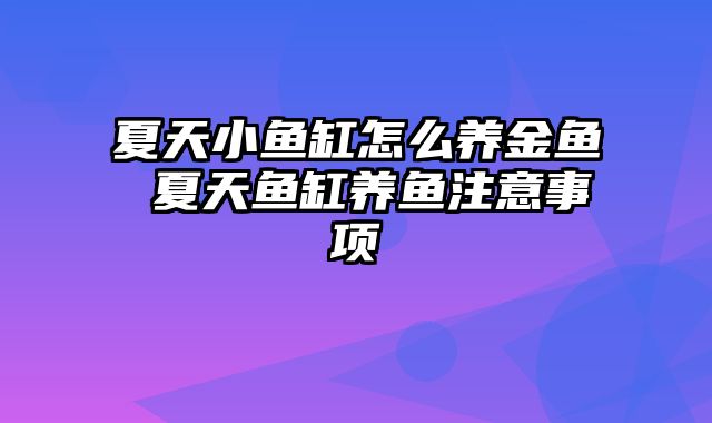 夏天小鱼缸怎么养金鱼 夏天鱼缸养鱼注意事项