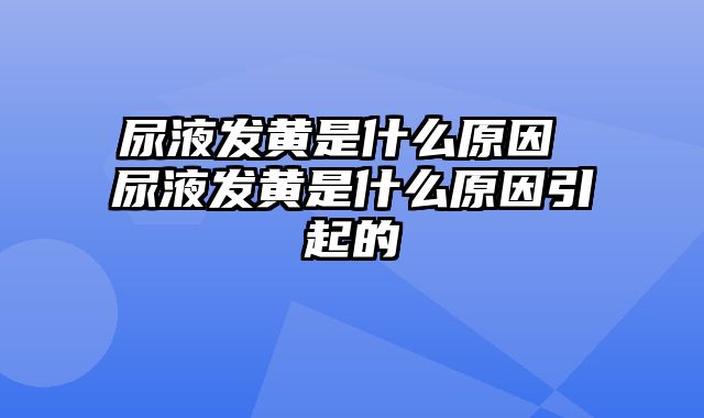 尿液发黄是什么原因 尿液发黄是什么原因引起的
