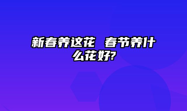 新春养这花 春节养什么花好?