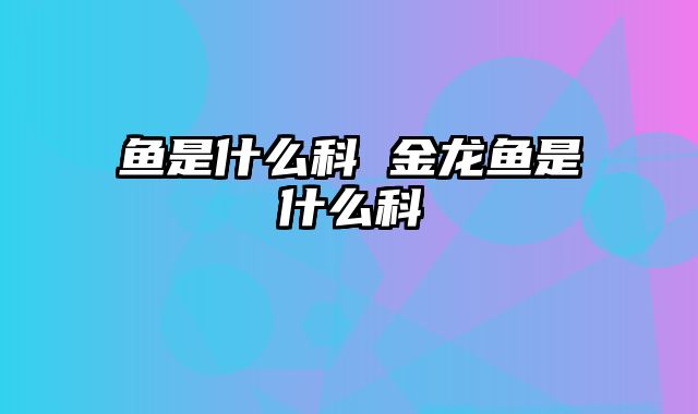 鱼是什么科 金龙鱼是什么科