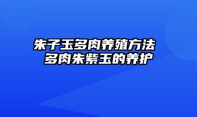朱子玉多肉养殖方法 多肉朱紫玉的养护