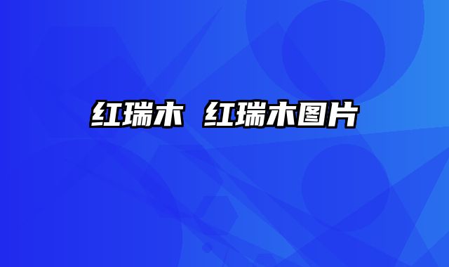 红瑞木 红瑞木图片