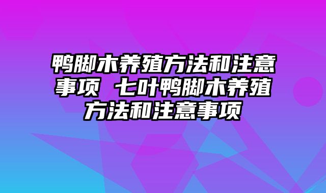 鸭脚木养殖方法和注意事项 七叶鸭脚木养殖方法和注意事项