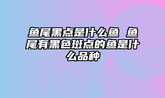 鱼尾黑点是什么鱼 鱼尾有黑色斑点的鱼是什么品种