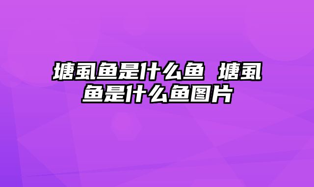 塘虱鱼是什么鱼 塘虱鱼是什么鱼图片
