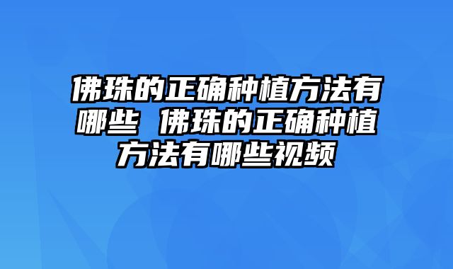 佛珠的正确种植方法有哪些 佛珠的正确种植方法有哪些视频