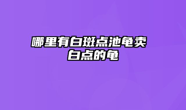 哪里有白斑点池龟卖 白点的龟