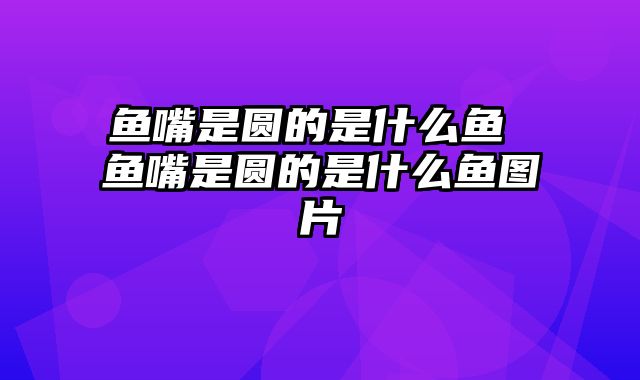 鱼嘴是圆的是什么鱼 鱼嘴是圆的是什么鱼图片