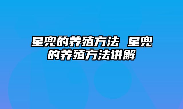 星兜的养殖方法 星兜的养殖方法讲解