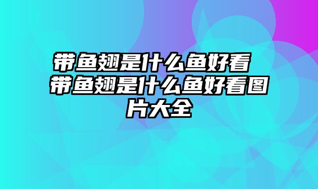 带鱼翅是什么鱼好看 带鱼翅是什么鱼好看图片大全