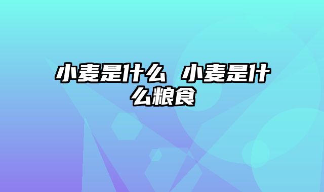 小麦是什么 小麦是什么粮食