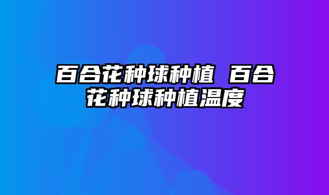 百合花种球种植 百合花种球种植温度