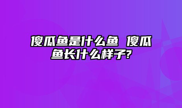 傻瓜鱼是什么鱼 傻瓜鱼长什么样子?