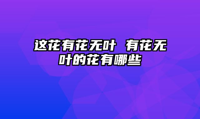 这花有花无叶 有花无叶的花有哪些
