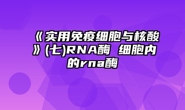 《实用免疫细胞与核酸》(七)RNA酶 细胞内的rna酶