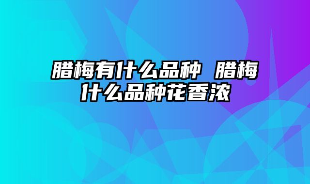腊梅有什么品种 腊梅什么品种花香浓