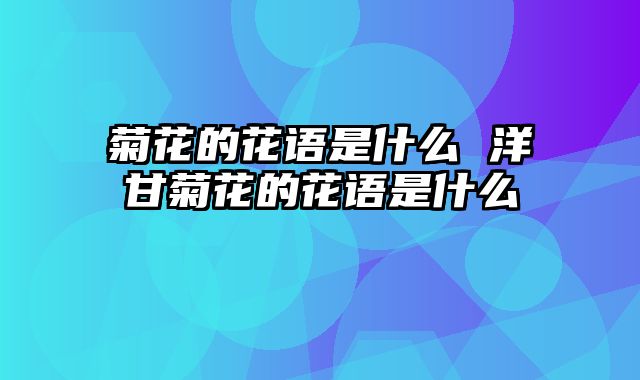 菊花的花语是什么 洋甘菊花的花语是什么