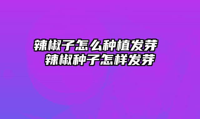 辣椒子怎么种植发芽 辣椒种子怎样发芽